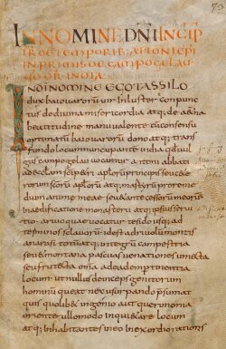 Cozroh-Codex: fol. 73