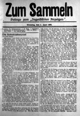 Ingolstädter Anzeiger Dienstag 5. Juni 1928