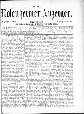 Rosenheimer Anzeiger Sonntag 8. Juni 1873