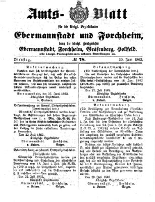 Amtsblatt für die Königlichen Bezirksämter Forchheim und Ebermannstadt sowie für die Königliche Stadt Forchheim Dienstag 30. Juni 1863