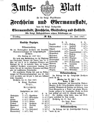 Amtsblatt für die Königlichen Bezirksämter Forchheim und Ebermannstadt sowie für die Königliche Stadt Forchheim Dienstag 25. Juni 1867