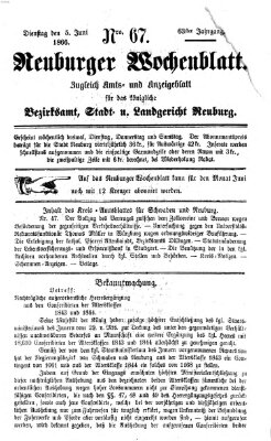 Neuburger Wochenblatt Dienstag 5. Juni 1866