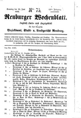 Neuburger Wochenblatt Samstag 23. Juni 1866