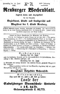 Neuburger Wochenblatt Donnerstag 11. Juni 1868