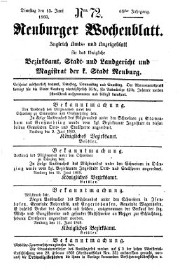 Neuburger Wochenblatt Dienstag 15. Juni 1869