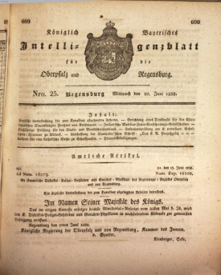 Königlich bayerisches Intelligenzblatt für die Oberpfalz und von Regensburg Mittwoch 20. Juni 1838