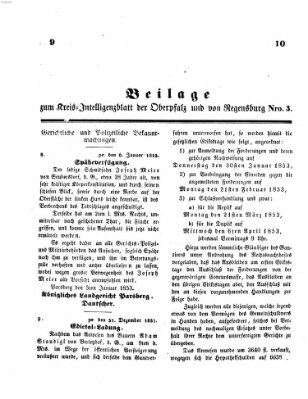 Königlich bayerisches Intelligenzblatt für die Oberpfalz und von Regensburg Samstag 8. Januar 1853