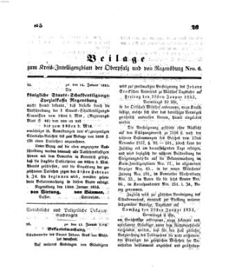 Königlich bayerisches Intelligenzblatt für die Oberpfalz und von Regensburg Mittwoch 19. Januar 1853