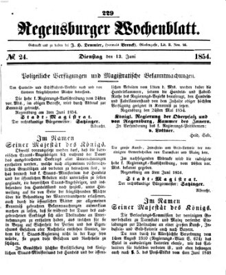 Regensburger Wochenblatt Dienstag 13. Juni 1854