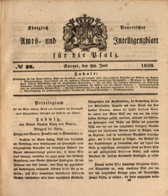 Königlich bayerisches Amts- und Intelligenzblatt für die Pfalz Mittwoch 20. Juni 1838