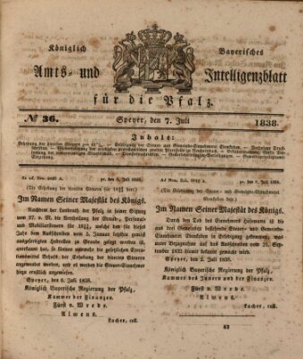 Königlich bayerisches Amts- und Intelligenzblatt für die Pfalz Samstag 7. Juli 1838