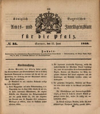 Königlich bayerisches Amts- und Intelligenzblatt für die Pfalz Montag 25. Juni 1849