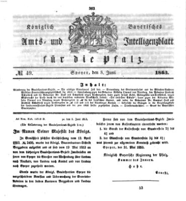 Königlich bayerisches Amts- und Intelligenzblatt für die Pfalz Mittwoch 8. Juni 1853