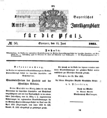 Königlich bayerisches Amts- und Intelligenzblatt für die Pfalz Freitag 10. Juni 1853