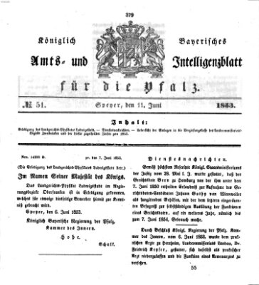 Königlich bayerisches Amts- und Intelligenzblatt für die Pfalz Samstag 11. Juni 1853