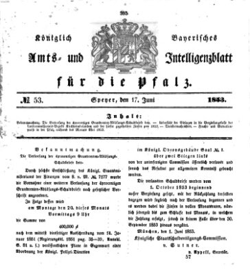 Königlich bayerisches Amts- und Intelligenzblatt für die Pfalz Freitag 17. Juni 1853