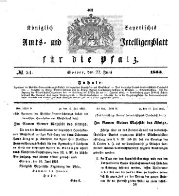 Königlich bayerisches Amts- und Intelligenzblatt für die Pfalz Mittwoch 22. Juni 1853