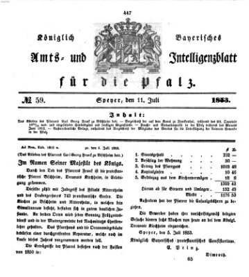 Königlich bayerisches Amts- und Intelligenzblatt für die Pfalz Montag 11. Juli 1853