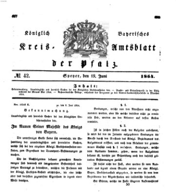 Königlich-bayerisches Kreis-Amtsblatt der Pfalz (Königlich bayerisches Amts- und Intelligenzblatt für die Pfalz) Montag 19. Juni 1854