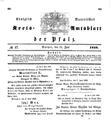 Königlich-bayerisches Kreis-Amtsblatt der Pfalz (Königlich bayerisches Amts- und Intelligenzblatt für die Pfalz) Freitag 11. Juni 1858