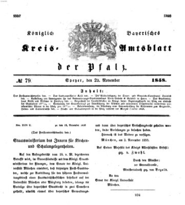 Königlich-bayerisches Kreis-Amtsblatt der Pfalz (Königlich bayerisches Amts- und Intelligenzblatt für die Pfalz) Dienstag 23. November 1858