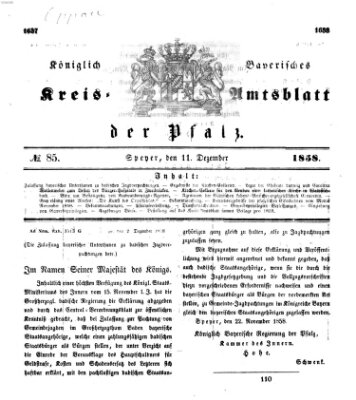 Königlich-bayerisches Kreis-Amtsblatt der Pfalz (Königlich bayerisches Amts- und Intelligenzblatt für die Pfalz) Samstag 11. Dezember 1858