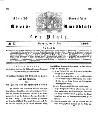 Königlich-bayerisches Kreis-Amtsblatt der Pfalz (Königlich bayerisches Amts- und Intelligenzblatt für die Pfalz) Freitag 5. Juni 1863