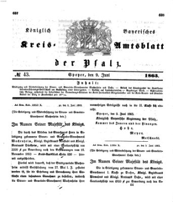 Königlich-bayerisches Kreis-Amtsblatt der Pfalz (Königlich bayerisches Amts- und Intelligenzblatt für die Pfalz) Dienstag 9. Juni 1863