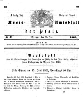 Königlich-bayerisches Kreis-Amtsblatt der Pfalz (Königlich bayerisches Amts- und Intelligenzblatt für die Pfalz) Dienstag 30. Juni 1863