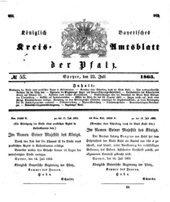 Königlich-bayerisches Kreis-Amtsblatt der Pfalz (Königlich bayerisches Amts- und Intelligenzblatt für die Pfalz) Mittwoch 22. Juli 1863