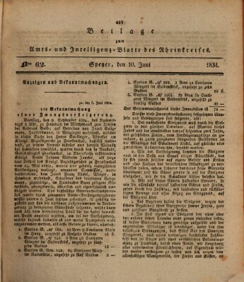 Amts- und Intelligenzblatt des Königlich Bayerischen Rheinkreises (Königlich bayerisches Amts- und Intelligenzblatt für die Pfalz) Dienstag 10. Juni 1834