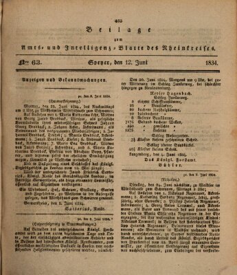 Amts- und Intelligenzblatt des Königlich Bayerischen Rheinkreises (Königlich bayerisches Amts- und Intelligenzblatt für die Pfalz) Donnerstag 12. Juni 1834