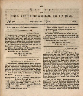 Königlich bayerisches Amts- und Intelligenzblatt für die Pfalz Samstag 2. Juni 1838