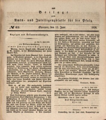 Königlich bayerisches Amts- und Intelligenzblatt für die Pfalz Mittwoch 13. Juni 1838