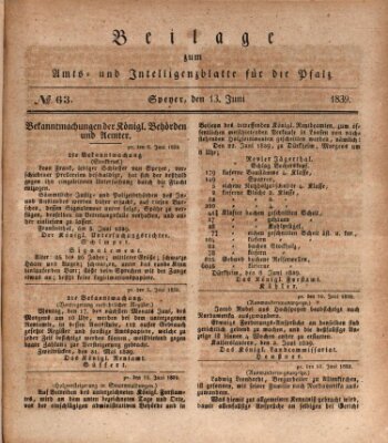 Königlich bayerisches Amts- und Intelligenzblatt für die Pfalz Donnerstag 13. Juni 1839