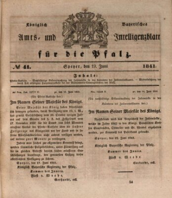 Königlich bayerisches Amts- und Intelligenzblatt für die Pfalz Samstag 19. Juni 1841