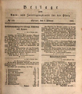 Königlich bayerisches Amts- und Intelligenzblatt für die Pfalz Dienstag 9. Februar 1841