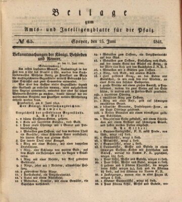 Königlich bayerisches Amts- und Intelligenzblatt für die Pfalz Dienstag 15. Juni 1841