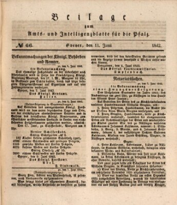 Königlich bayerisches Amts- und Intelligenzblatt für die Pfalz Samstag 11. Juni 1842