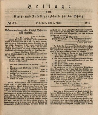 Königlich bayerisches Amts- und Intelligenzblatt für die Pfalz Freitag 7. Juni 1844