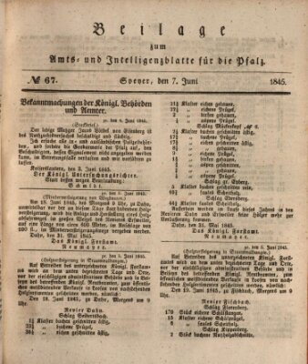 Königlich bayerisches Amts- und Intelligenzblatt für die Pfalz Samstag 7. Juni 1845