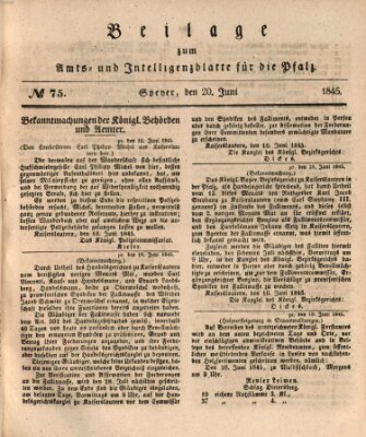 Königlich bayerisches Amts- und Intelligenzblatt für die Pfalz Freitag 20. Juni 1845