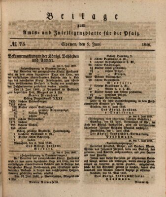 Königlich bayerisches Amts- und Intelligenzblatt für die Pfalz Dienstag 9. Juni 1846