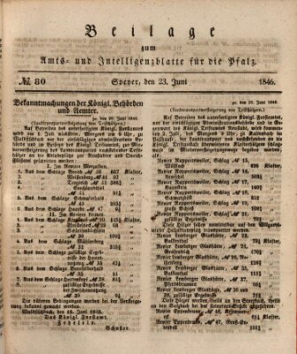 Königlich bayerisches Amts- und Intelligenzblatt für die Pfalz Dienstag 23. Juni 1846