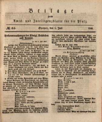 Königlich bayerisches Amts- und Intelligenzblatt für die Pfalz Montag 6. Juli 1846