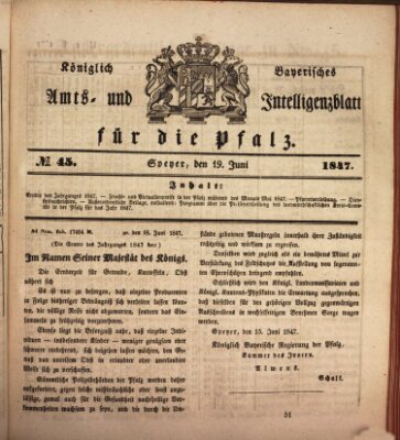 Königlich bayerisches Amts- und Intelligenzblatt für die Pfalz Samstag 19. Juni 1847