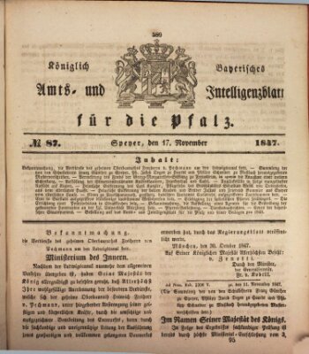 Königlich bayerisches Amts- und Intelligenzblatt für die Pfalz Mittwoch 17. November 1847