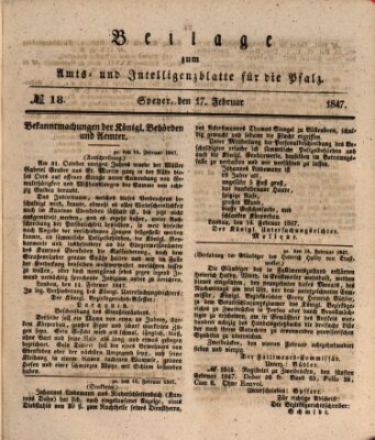 Königlich bayerisches Amts- und Intelligenzblatt für die Pfalz Mittwoch 17. Februar 1847