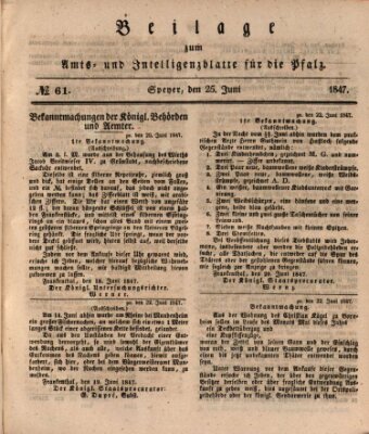 Königlich bayerisches Amts- und Intelligenzblatt für die Pfalz Freitag 25. Juni 1847