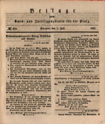 Königlich bayerisches Amts- und Intelligenzblatt für die Pfalz Freitag 2. Juli 1847